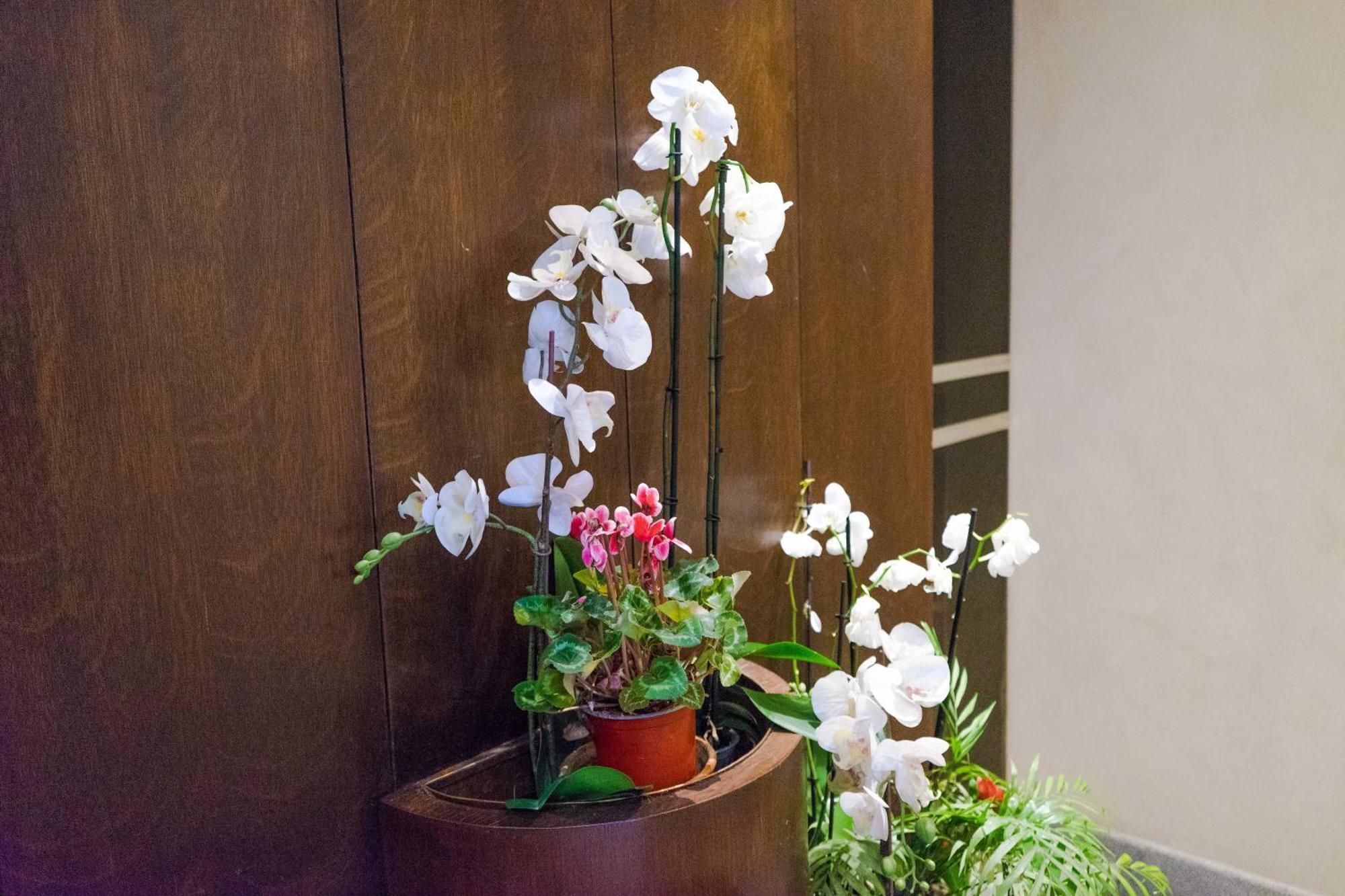 Disciplini Apartment A 5 Min Dal Duomo 米兰 外观 照片